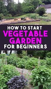 How To Start A Vegetable Garden For Beginners Starting A Vegetable Garden Starting A Garden Gardening For Beginners