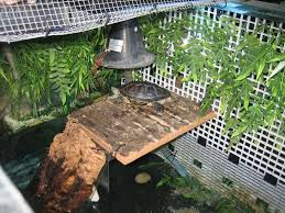 How to make an above tank basking area for turtles the turtle hub. Diplomaciai Kerdesek Landzsa Oszton Diy Turtle Basking Area Silenciadasnoparto Com