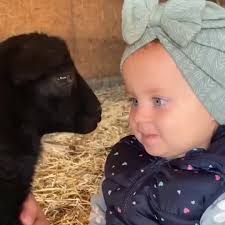 Dennis (DJ) Erickson