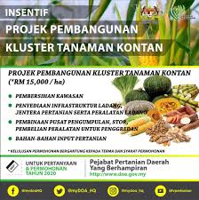 Jabatan pertanian negeri kelantan is a government agency based in kota bharu, kelantan. Jabatan Pertanian Negeri Pulau Pinang Doapenang Twitter