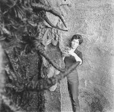 Bildergebnis für Magdalena Abakanowicz