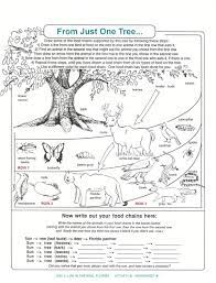 Archbold Biological Station Ecological Research Conservation Biology Environmental Education Lake Placid Science Worksheets Food Chain Biology Worksheet