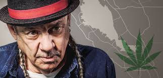 How San Jose Went from Being the 'Wild West of Weed' to a Bastion for Legal  Cannabis