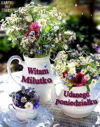 Obrazek dodany przez użytkowniczkę