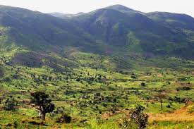 Image result for sukur kingdom beauty
