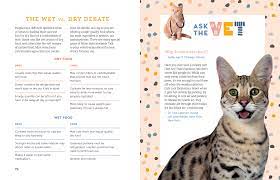 A Kid S Guide To Cats Cats Cat Care Numbers For Kids