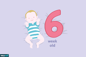 Your 6 Week Old Baby Development Milestones
