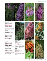 Check spelling or type a new query. The Buddleja Garden Podaras Flutterby Hinebud