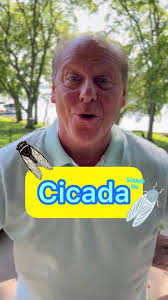 How do you say Cicada? #englishonline #speaklikeanative #pronunciation #esl  #languagelearning #cicada