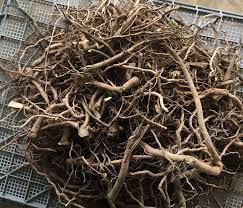Kava Root Fijian Waka And Micronized Kava Powder Kava Kava Tea South Pacific