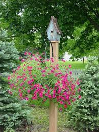 Birdhouse Bird Houses Bird House Outdoor Gardens
