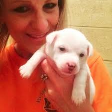 My baby bean died at 10 days old . I'm going to miss her so much. These 10  days we had together was everything and I'm so sorry I wasn't able to