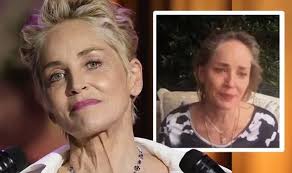 Sharon Stone's 11-month-old nephew dies after 'total organ failure' left  him in coma