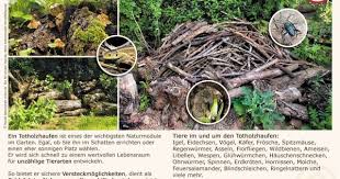 Totholzhaufen Hortus Netzwerk Garten Naturgarten Naturnaher Garten