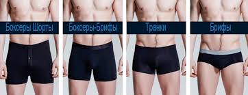 Vybor Trusov Dlya Muzhchin Po Tipu Figury Glavnye Nyuansy