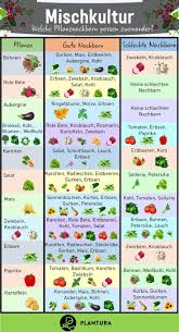 Mischkultur Welche Pflanzen Passen Zusammen Plantura Garten Anpflanzen Garten Bepflanzen Mischkultur