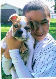 Introducing Winnie Duke, the Weimaraner of my dreams