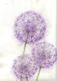 1001 kleurplaten, gratis kleurplaat downloaden om te kleuren 26 Beste Ideeen Over Paardenbloem Tekening Paardenbloem Tekening Paardenbloem Bloemen Tekenen