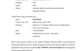 Demikian surat keterangan ini dibuat dengan. 3 Contoh Surat Keterangan Penghasilan Orang Tua Dan Cute766