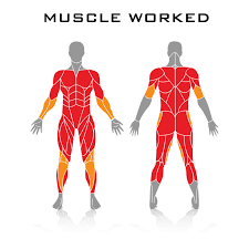 One Punch Man Workout The Science Of Saitama Workout