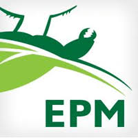 Reach out to greenix pest control right away to restore your home to safety. Environmental Pest Management