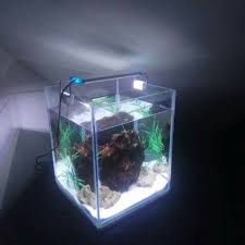 Aquarium mini portable plus lampu dan mesin aeratorrp100.000: Aquarium Mini Led Shopee Indonesia