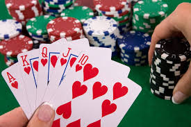 Why Gambling is Good for You | Nz Potters