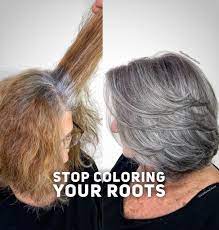 Check The Link Below On How To Transfer Your Colored Hair To Silver To Match Your Natural Roots Gray Hair Growing Out Ash Hair Color Grey Hair Transformation