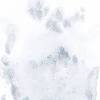 Here you can explore hq blue flower transparent illustrations, icons and clipart with filter setting like size, type, color etc. 1