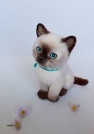 basya kotik kotenok koshka valyanaya igrushka valyanie iz shersti kotenok iz shersti kartka koristuvacha bichinhos fofos gato de pelucia bichinhos bonitinhos