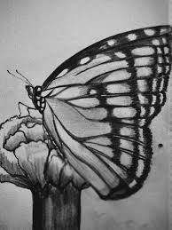 Whether you're an aspiring artist or new to the medium, this video shows how to draw in charcoal. Butterfly On The Flower Drawing By Shivganga Todkari Saatchi Art