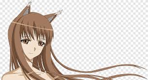 Image result for anime cute werewolf boy anime wolf anime. Spice And Wolf Gray Wolf Anime Spice And Wolf Mammal Cg Artwork Png Pngegg
