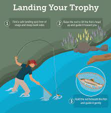 How To Land More Fish With A Fly Rod Tips And Techniques For Keeping Your Fish On The Line Fly Fishing Basics Fly Fishing Fly Fishing Tips