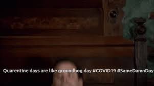 Each year, a web link of the telecast provided by pcn is available on the pennsylvania tourism website. Quarantine Days Are Like Groundhog Day Wake Up Gif Quarantinedaysarelikegroundhogday Wakeup Getup Discover Share Gifs