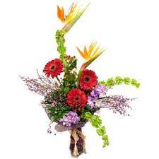 With over 1 million happy flower customers we deliver flowers, same day across the us. Dominican Republic Paradise And Daisies Bouquet Baskets Delivery Paradise And Daisies Bouquet Dominican Republic Gifts Online Free Delivery