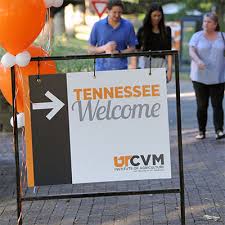 Which veterinary schools i applied to. Home College Of Veterinary Medicine
