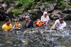 Aku nie nama je anak jati terengganu tapi ini kali pertama aku pergi bercuti ke tasik kenyir. 2021 Tasik Kenyir Resort Aktiviti Tempat Menarik Kenyir