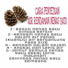 Nanas batu walaupun dinamakan sedemikian bukanlah sejenis nanas. Jamu Dan Herba Nenas Batu Posts Facebook