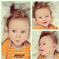 558486_410777855709108_99215121_n