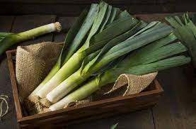 The flag is known after the red dragon: The Leek National Emblem Of Wales And The Welsh