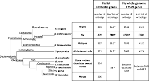 Natural selection is the primary cause of evolutionary change. An Evolutionary Approach To Recover Genes Predominantly Expressed In The Testes Of The Zebrafish Chicken And Mouse Bmc Ecology And Evolution Full Text