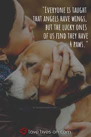 Offer heartfelt condolences with these sympathy message ideas and tips from hallmark card writers. 100 Very Best Sympathy Quotations Cute Dogs Dogsandpuppies Funnypictures Veryverycutedogs Pet Quotes Dog Dog Quotes Losing A Pet Quotes