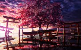 Bahkan, melihat pemandangan yang indah dapat menghilangkan stres seseorang. 190 Sakura Hd Wallpapers Background Images