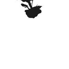 Learn How To Make Gifs How to turn a picture into a gif?