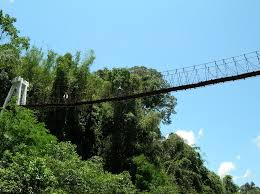Taman negara kuala koh atau juga dikenali sebagai taman negara kelantan merupakan pintu masuk rasmi di negeri kelantan untuk ke taman negara malaysia. Hanging Bridge At Taman Negara Kuala Koh Kelantan Mapio Net