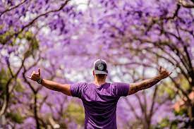 Maybe you would like to learn more about one of these? 10 Most Common Flowering Trees In San Diego Tree Service