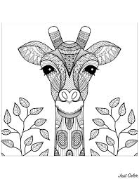 Features of this giraffe coloring book: Splendi Giraffe Coloring Pages Picture Inspirations Axialentertainment