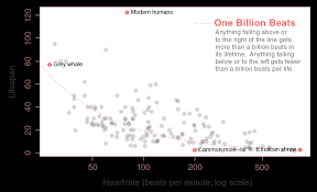 beats per life public science lab