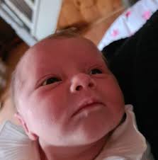 Is anyone doing elf visits or Elsa visits for Xmas?