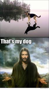 Pin By Cc Last Name On Jokes Jesus Funny Funny Memes Make Me Laugh